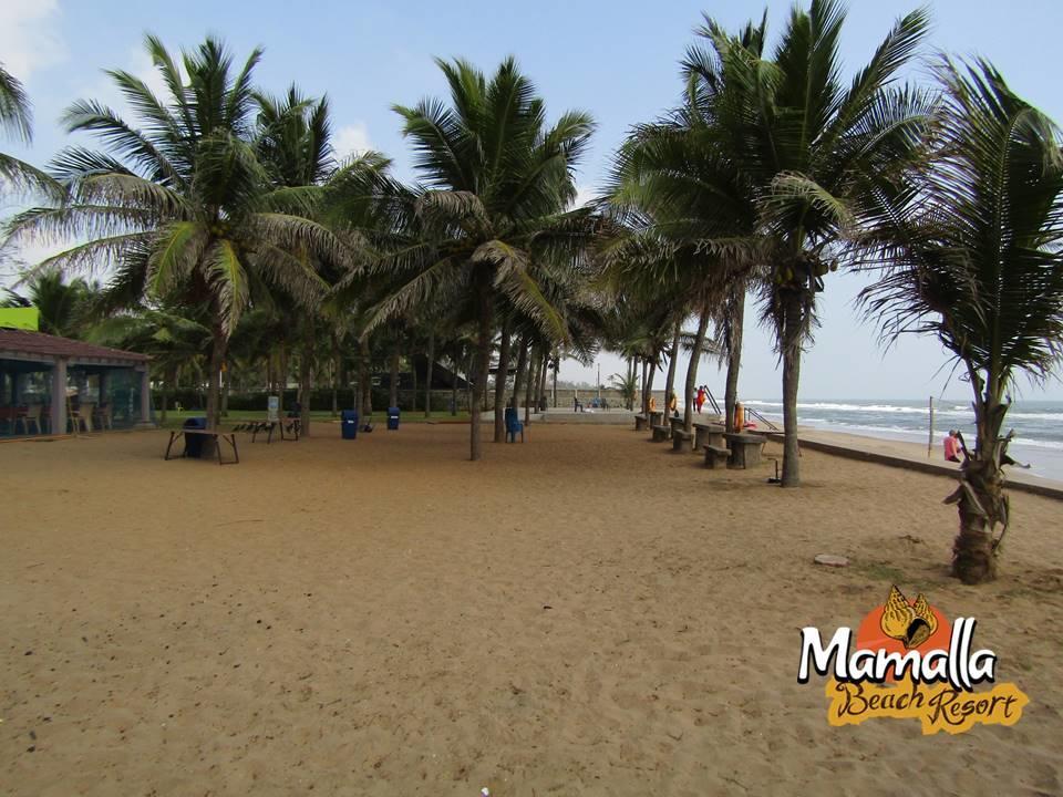 Mamalla Beach Resort Mahabalipuram Exterior foto